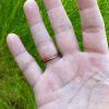 green ocean jasper ring with a stone found on the beach of Pacifica