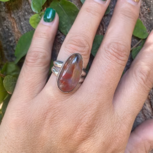 Rainbow Petrified Wood in Sterling Silver
