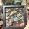 Home Decor and Rock stand for displaying minerals